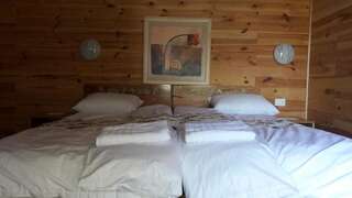 Лоджи Pensiunea Balkan Expres Рунку Двухместный номер с 1 кроватью или 2 отдельными кроватями и дополнительной кроватью-1