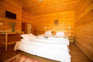 Лоджи Pensiunea Balkan Expres Рунку Двухместный номер с 1 кроватью или 2 отдельными кроватями и дополнительной кроватью-2